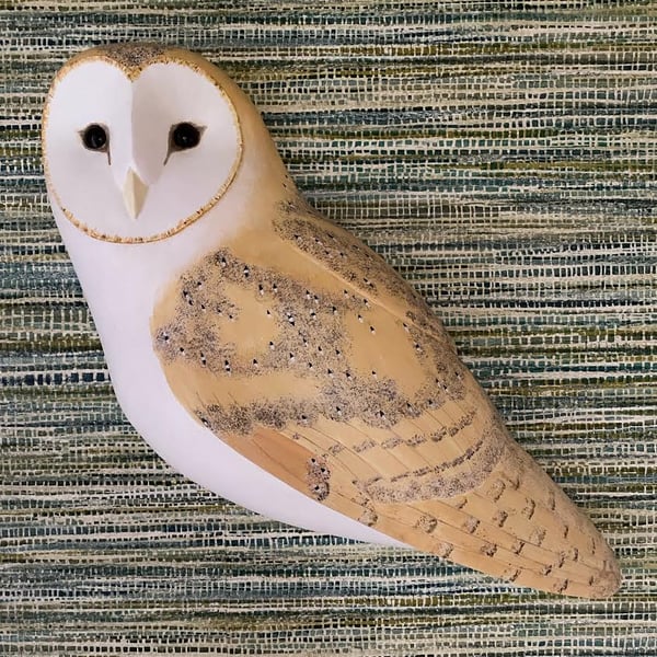 Barn owl