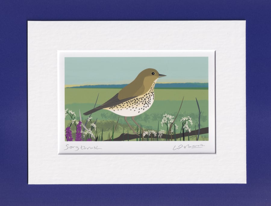 Songthrush - signed print of this popular garden bird with mount