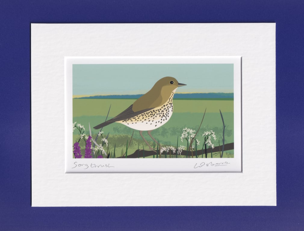 Songthrush - signed print of this popular garden bird with mount