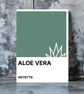 ALOE VERA Greeting Card – Colour Swatch Series (A6, Blank Inside)