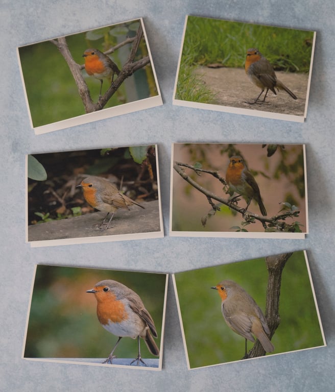 Pack of 6 Robin Cards