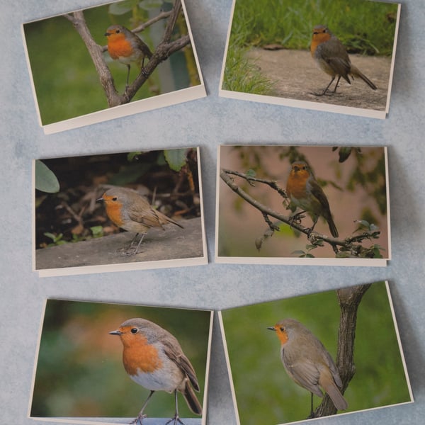 Pack of 6 Robin Cards