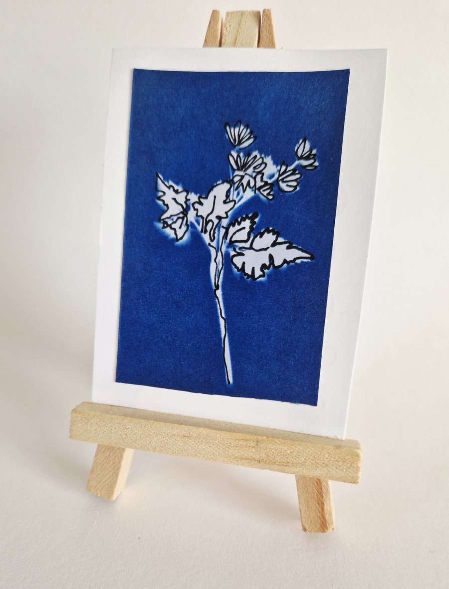 ACEO OOAK original cyanotype Cornish Hedgerow No.3