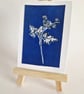 ACEO OOAK original cyanotype Cornish Hedgerow No.3