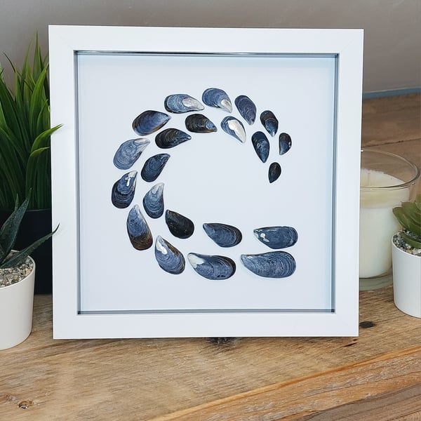 Cornish mussel shell wave framed artwork 