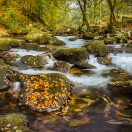 Photography Print - River Meavy, Dartmoor, Devon -  Limited Edition Signed Print