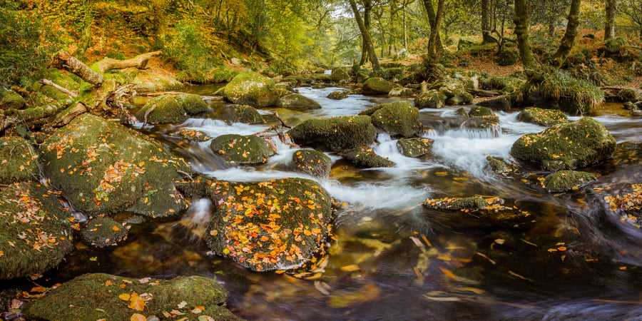 Photography Print - River Meavy, Dartmoor, Devon -  Limited Edition Signed Print