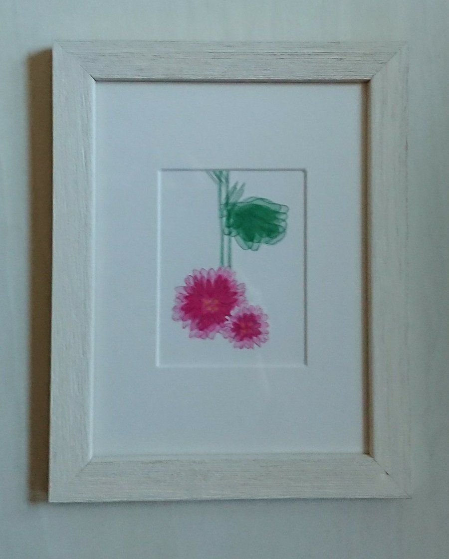 Small pink flower print of Chrysanthemums in white frame