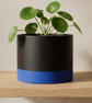 Large Black and Blue Colour Block Plant Pot 15 cm Indoor Planter