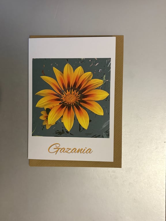 Gazania A5 Greeting Card