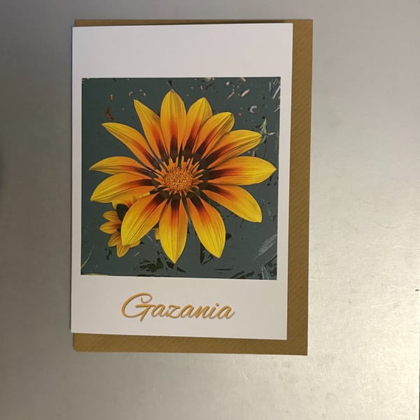 Gazania A5 Greeting Card