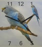 budgie wall clock blue budgie clock - Image 4