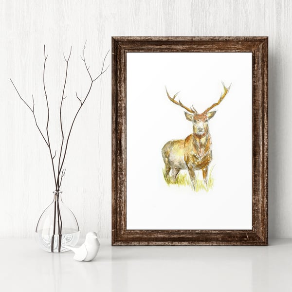 The Stag