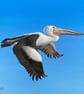 Flying Pelican Fine Art Giclée Mini Print