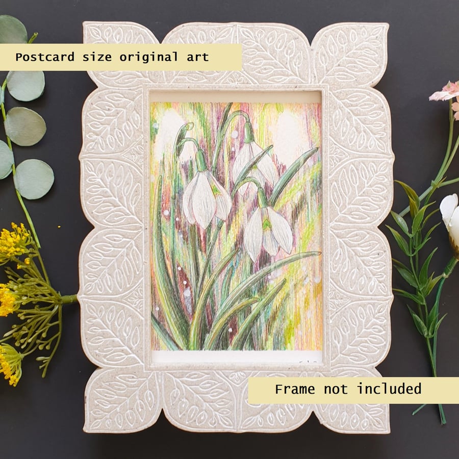 Snowdrop flowers original drawing, postcard size artwork, small wall art