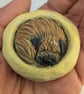 Border Terrier Yorkshire Pudding - 3 - Image 3