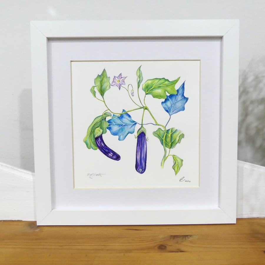 Framed Eggplant Botanical Original Watercolour Painting