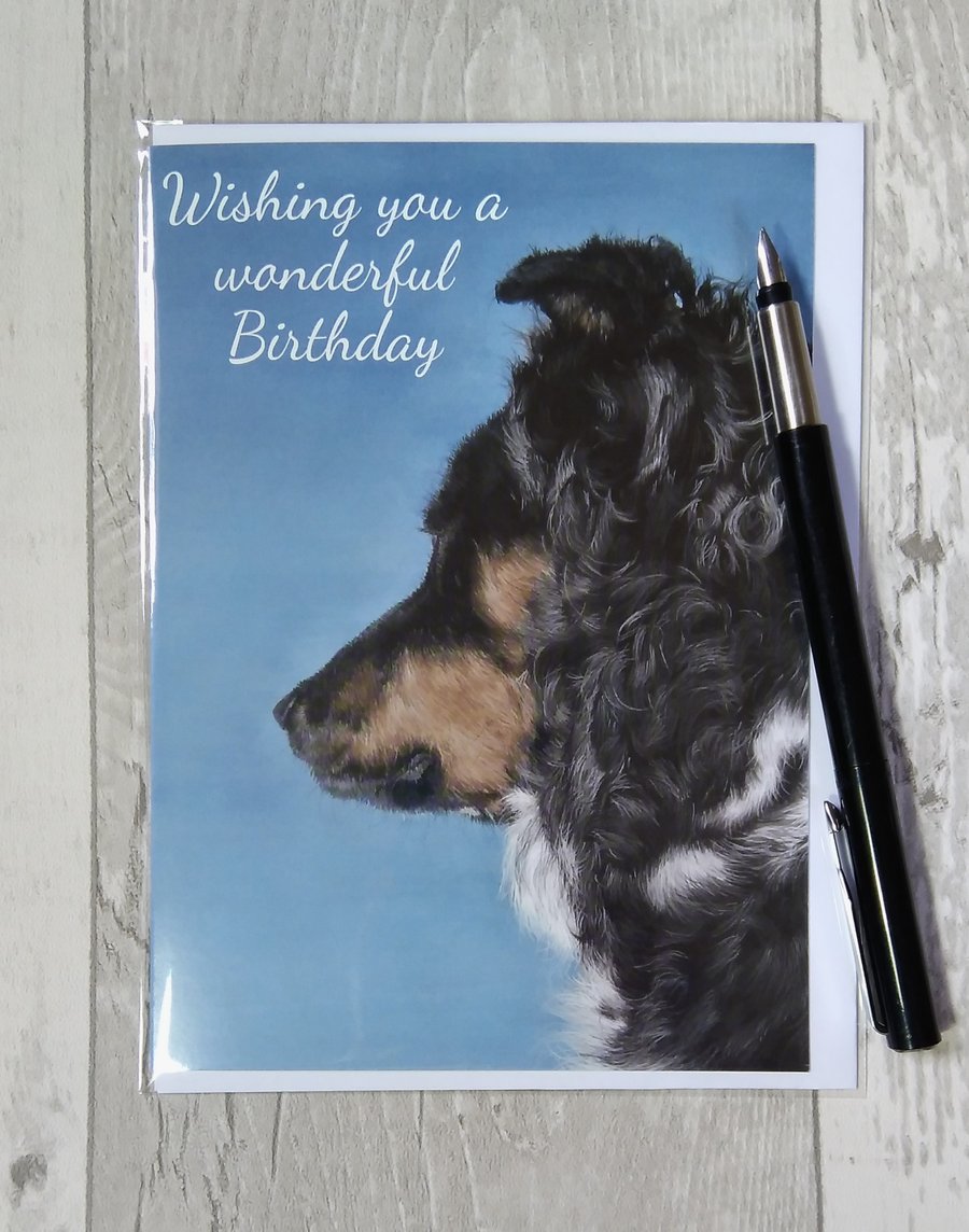 Birthday card. Border Collie Birthday card. Greetings card. Printed card.