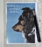 Birthday card. Border Collie Birthday card. Greetings card. Printed card. - Image 1