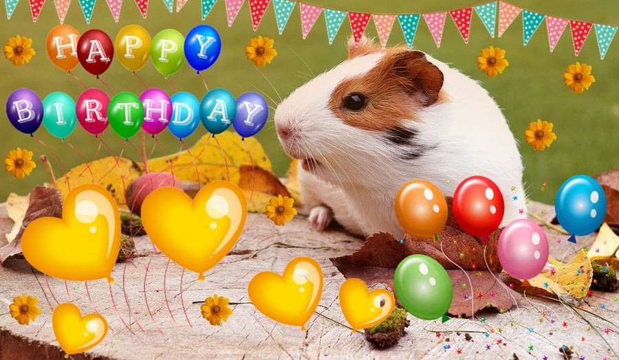 A5 Guinea Pigs On Log Birthday Card 
