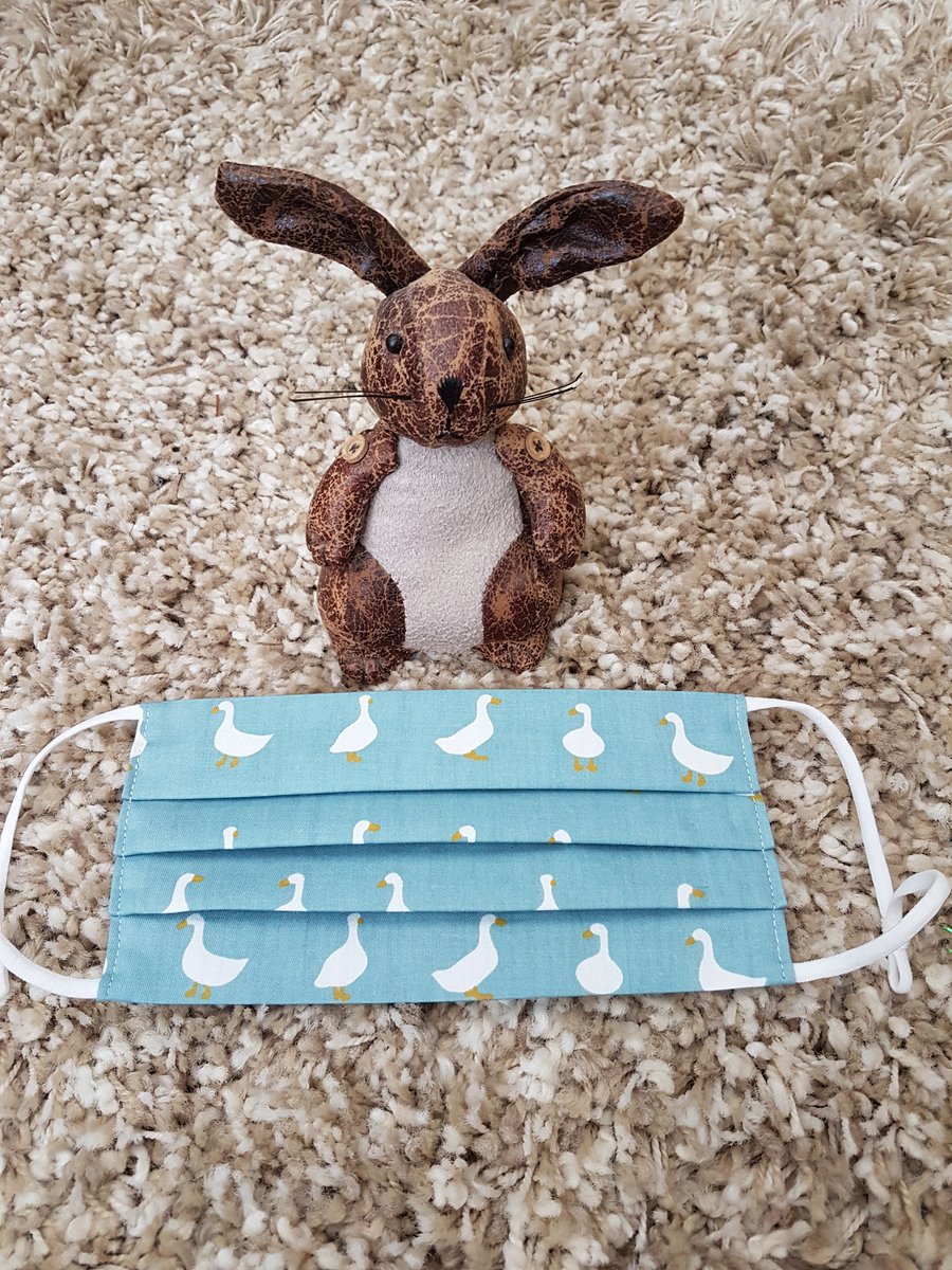 Adult face covering – Duck print design