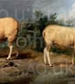 Sheep Fine Art Lampshade - Fine Art Lamp Shade - Period lighting - Image 3
