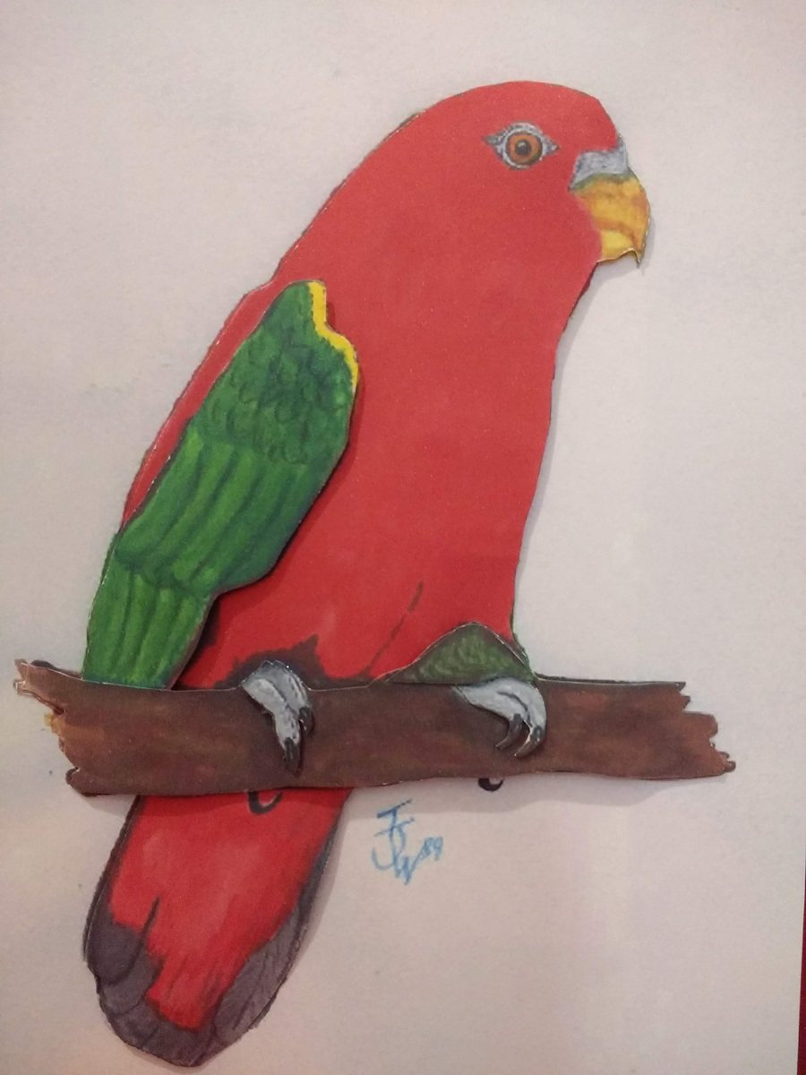 King Parrot Decoupage Birthday card