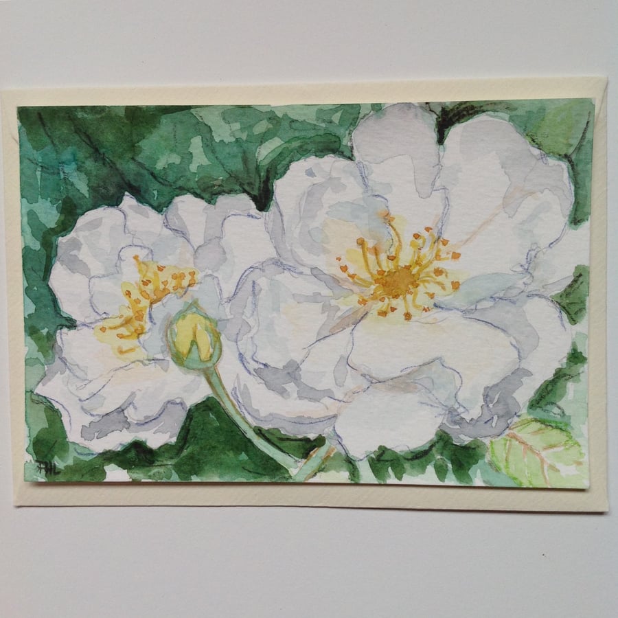 White Roses original watercolour postcard
