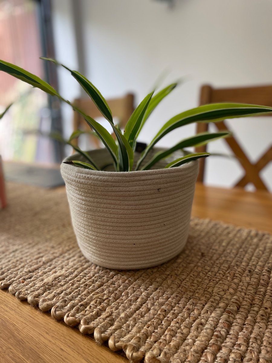 'Becs' Rope Basket