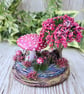 Enchanted Toadstool -Cherry Blossom - Fairy House - Image 3