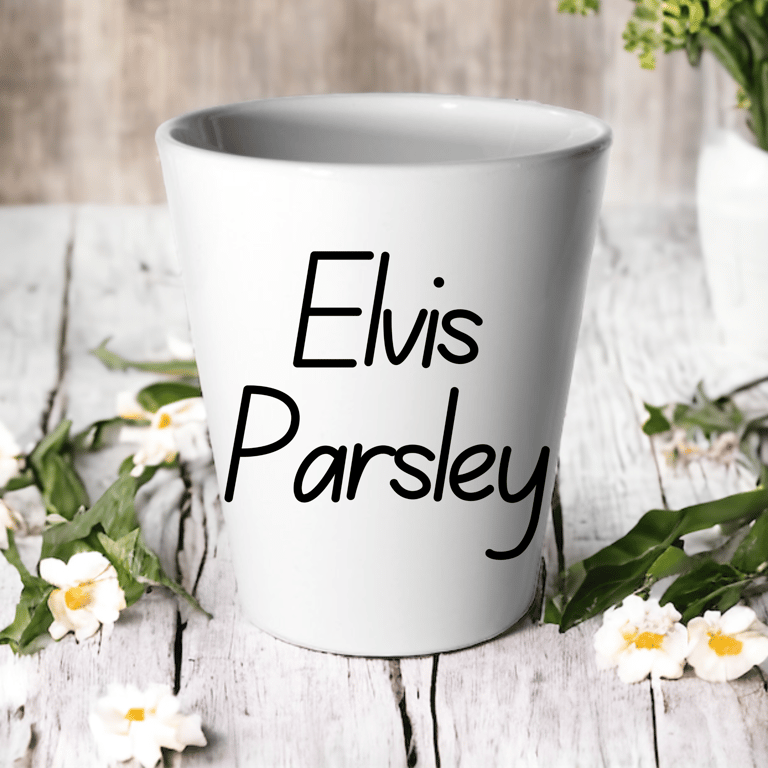 Elvis Parsley -Succulent Cactus Flower Pot 