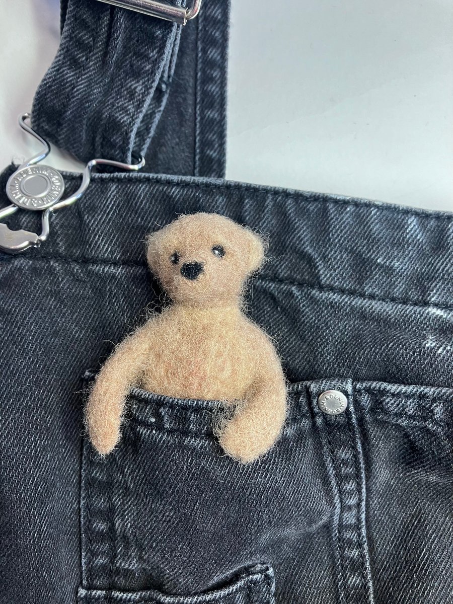 Little brown pocket Bear