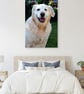 Golden Retriever Dog Portrait Photograph Print - Image 5