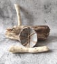 Sea Fossil Dish, Clay Pastel Trinket Bowl, Handmade Ceramic Vessel - Image 4