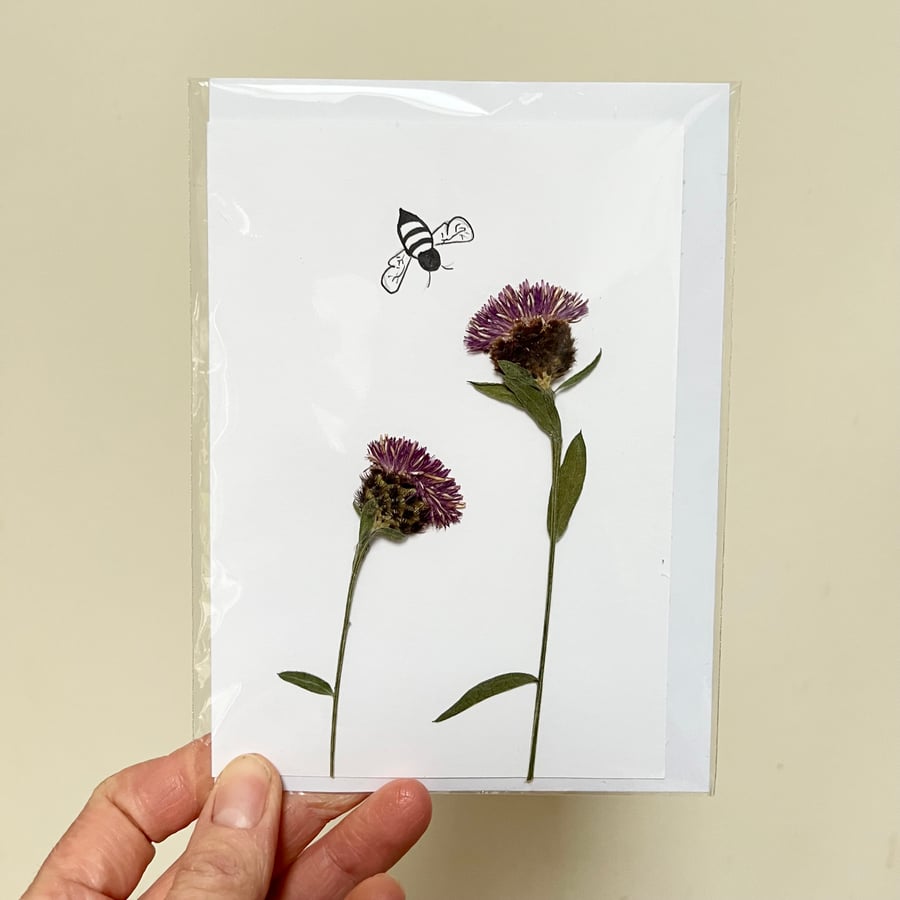 Perfectly Imperfect Real Pressed Wildflower, Knapweed, Bee Handmade Card