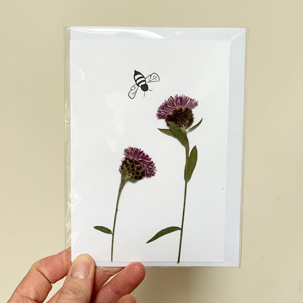 Perfectly Imperfect Real Pressed Wildflower, Knapweed, Bee Handmade Card