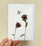 Real Pressed Wildflower, Knapweed, Bee Handmade Card - Image 1