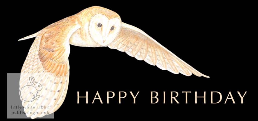Barn Owl - Birthday Card