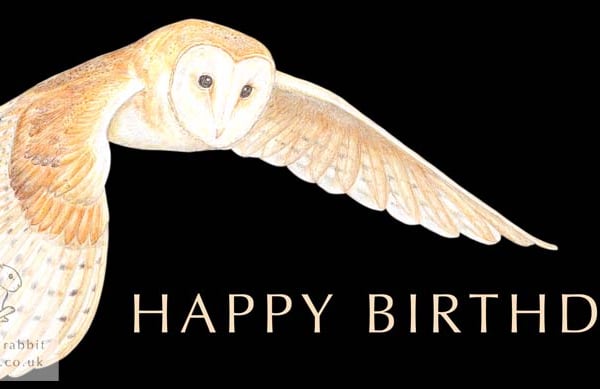 Barn Owl - Birthday Card