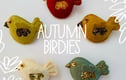 Brooches