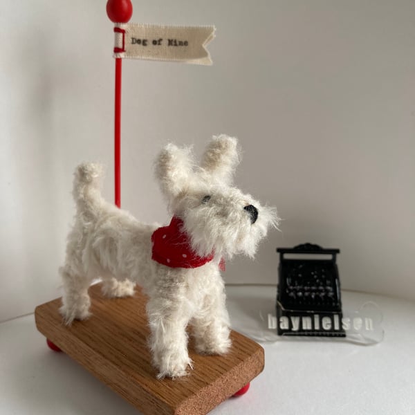 West Highland White Terrier - Little White 