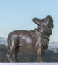 French Bulldog Lifting Paw Statue Large  Bronze Resin Garden Sculpture  - Image 6