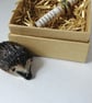 Hedgehog Keepsake. - Image 3