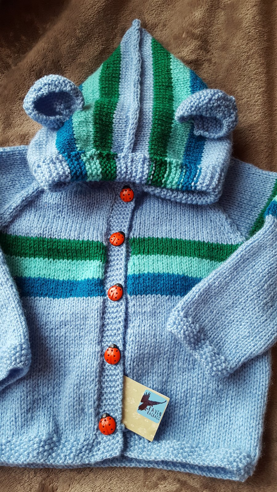 Blue and Green Teddy Baby Hoodie
