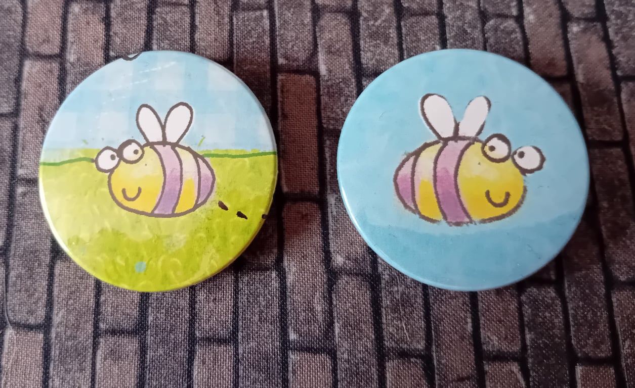 Picture Book  Badge - Bees