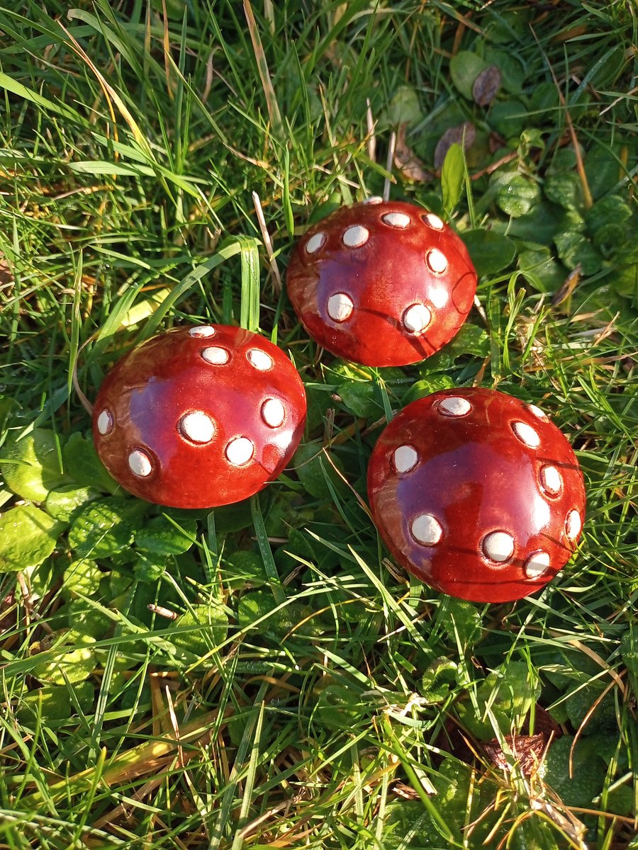 Mushroom trio Fly Agaric