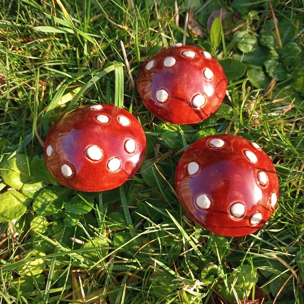 Mushroom trio Fly Agaric