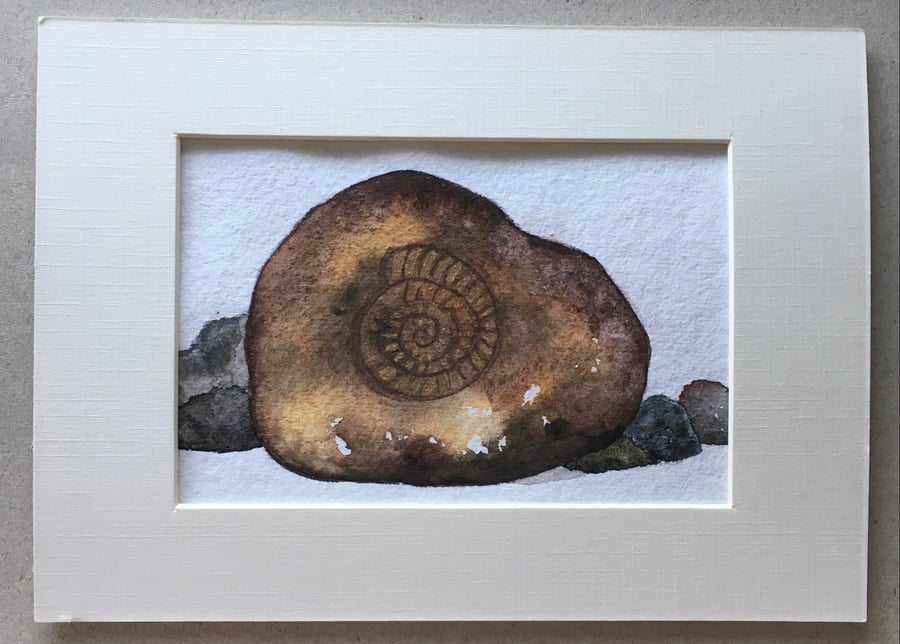 Ammonite rock original painting 