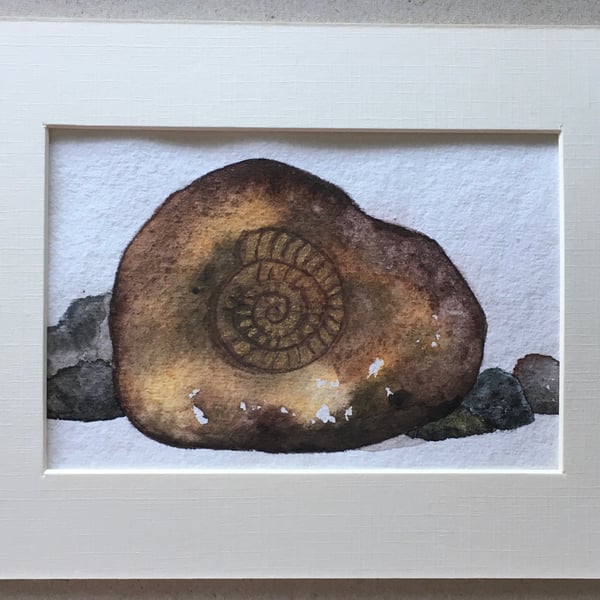 Ammonite rock original painting