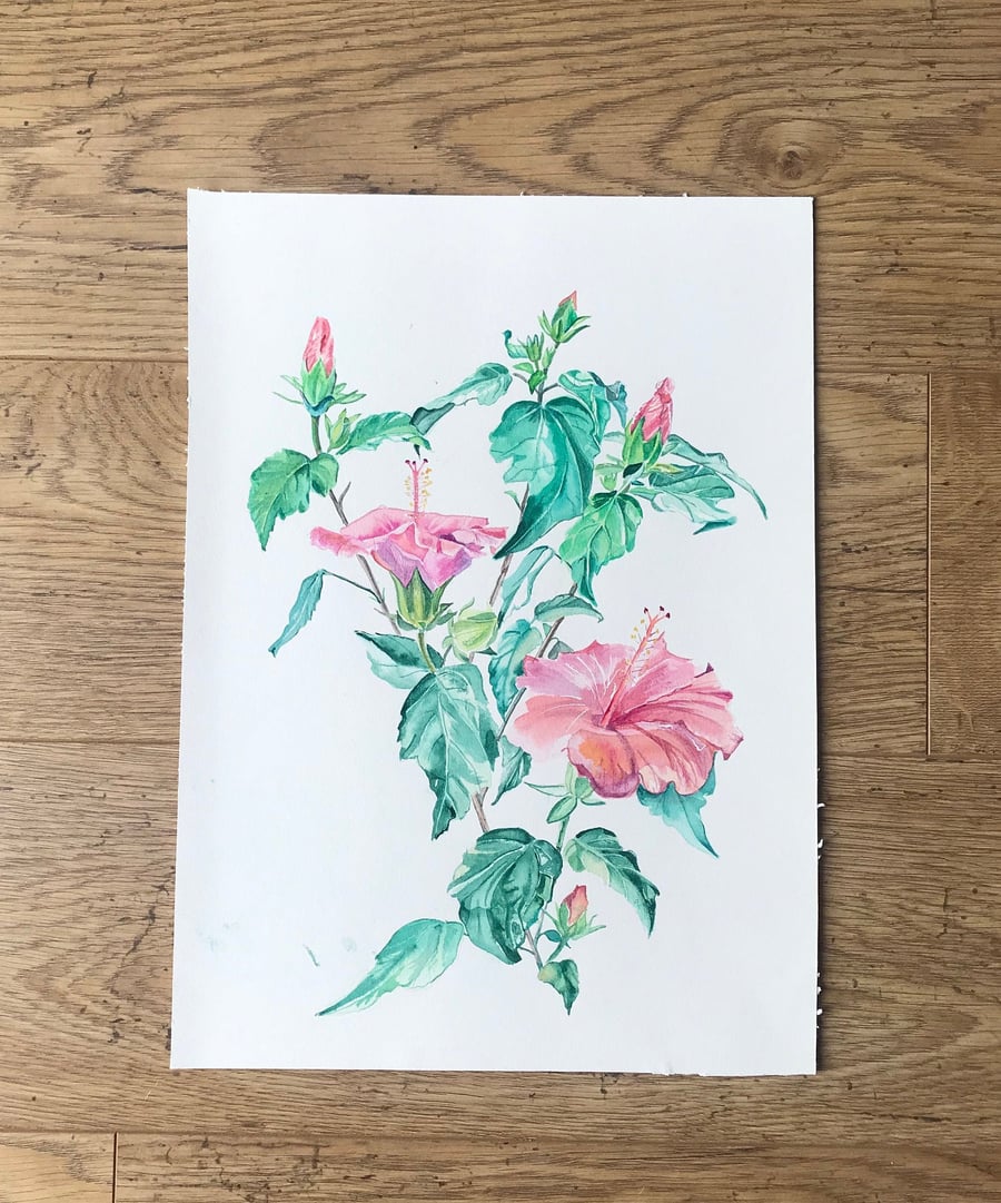 Original Watercolour Painting of Hibiscus Flowers